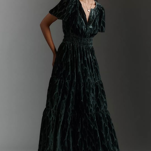 Anthropologie Dresses & Skirts - Anthropologie The Somerset Velvet Maxi Dress